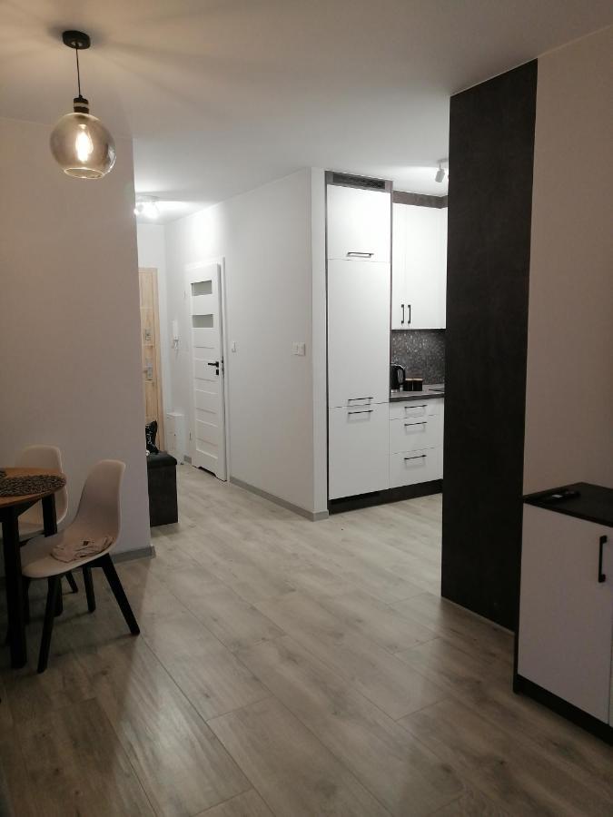 Mielczarskiego Apartment Elblag